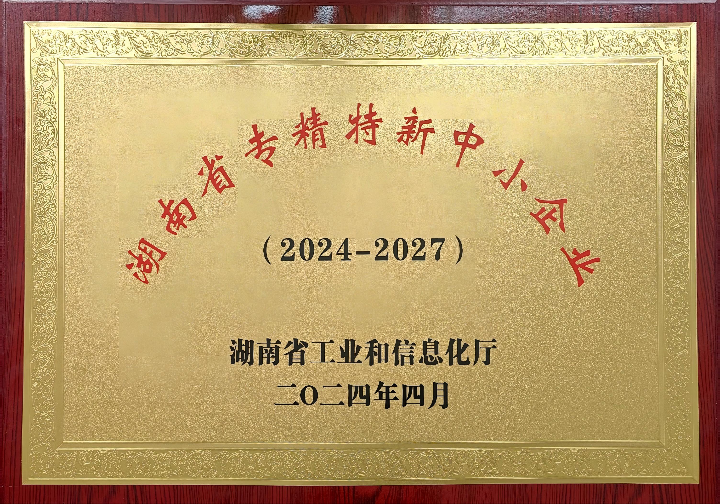 2024 HUNAN SPECIALIZED SME